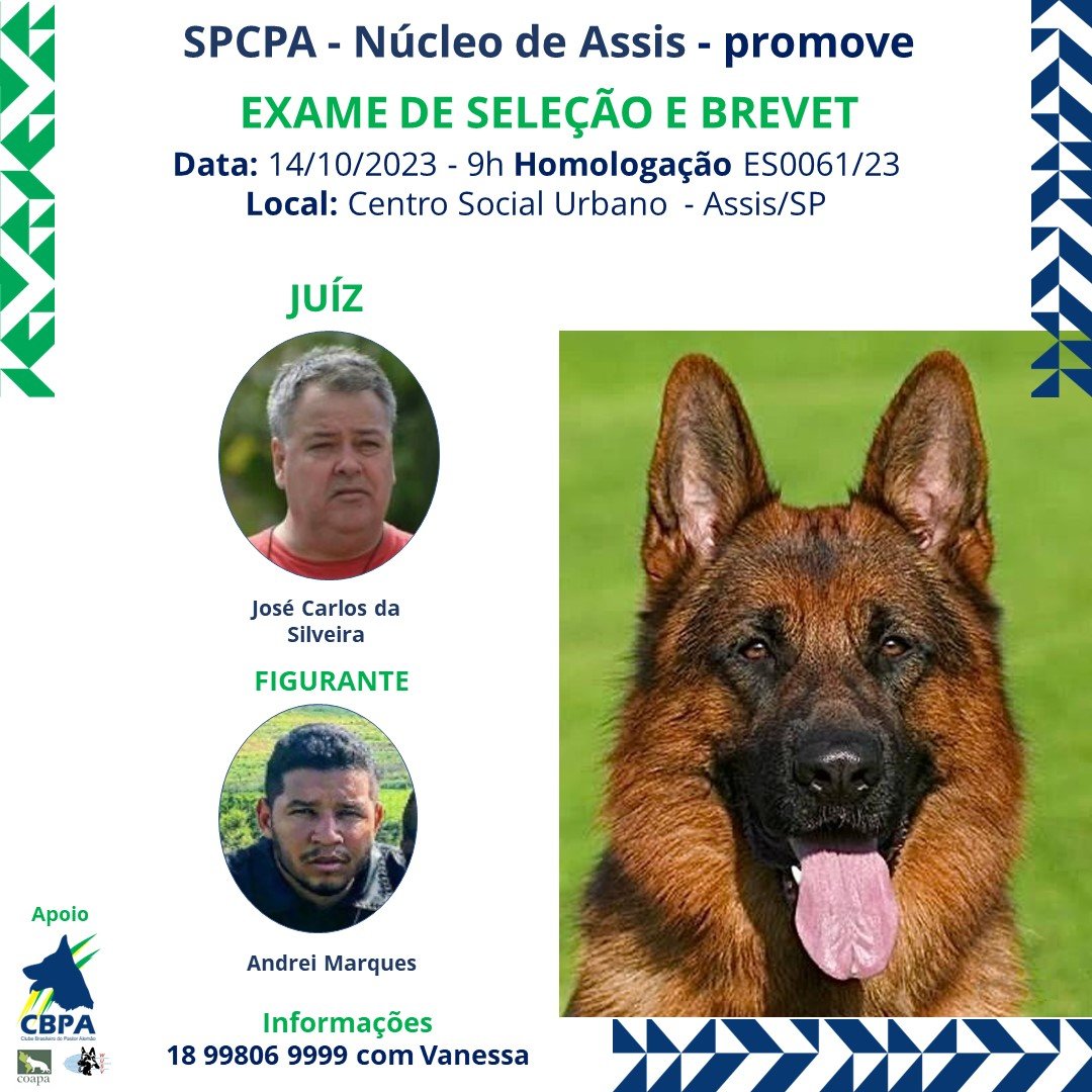 Premiação Campeonato Paulista 2019 – SCCPA – Sociedade Campineira de Cães  Pastores Alemães